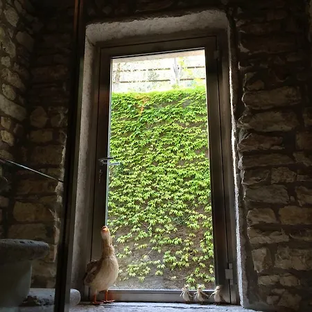 Herberg Dormire Ruota *