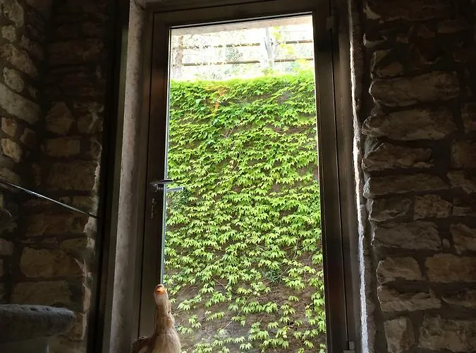 אורחן Dormire Ruota *